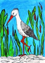 Kukučková Viktória.jpg